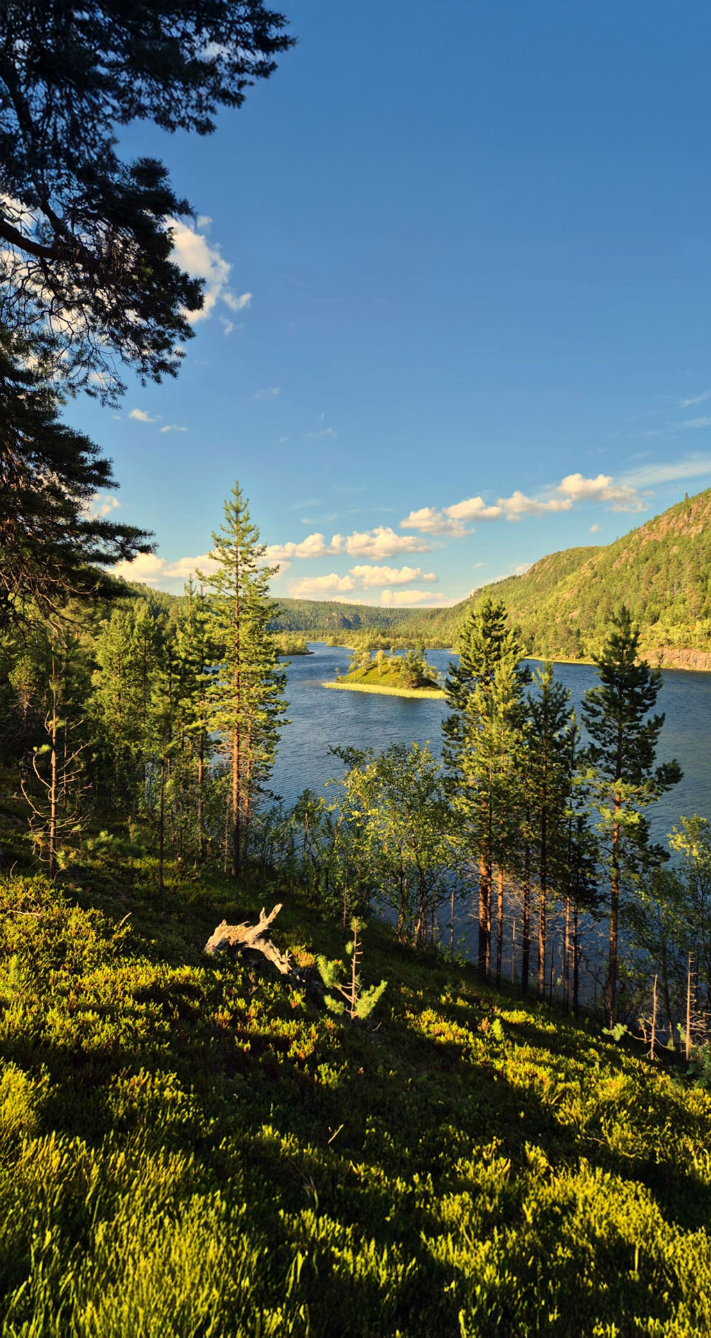 Kevo-maisema
